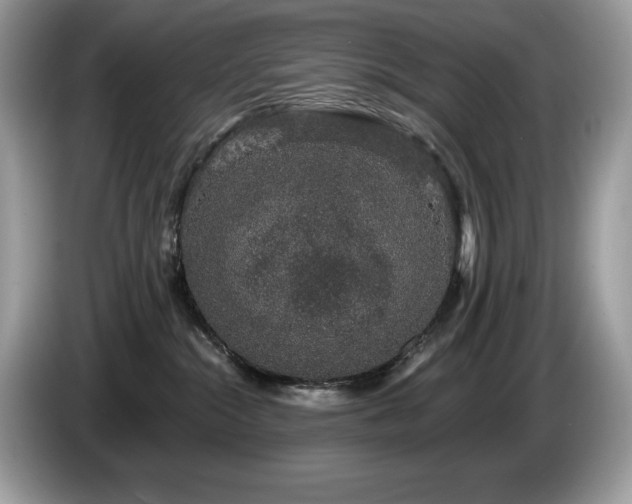 X0000087560284200704271231