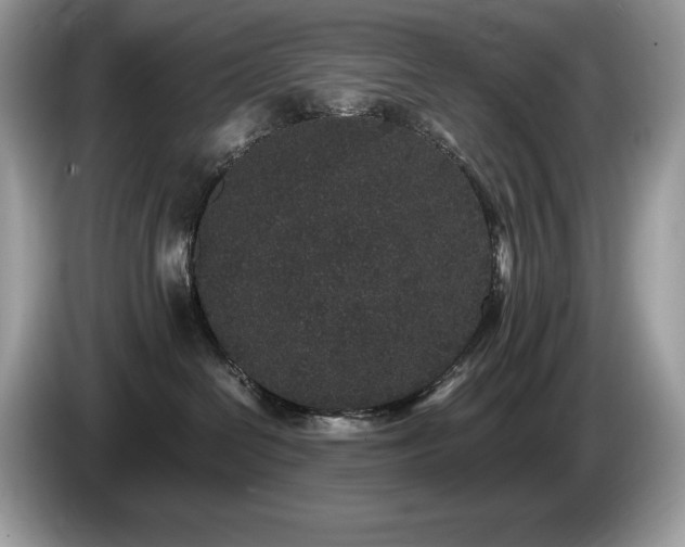 X0000087560286200704271231
