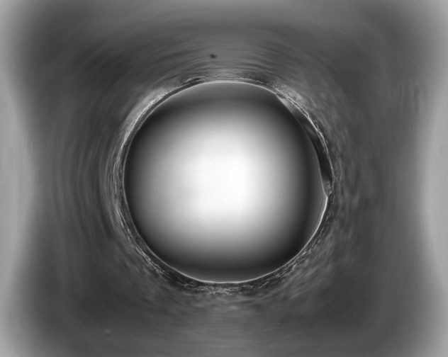 X0000087560289200704271231
