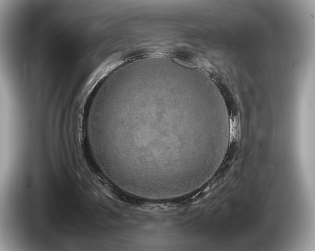 X0000087560291200704271231