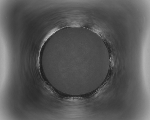 X0000087560292200704271231