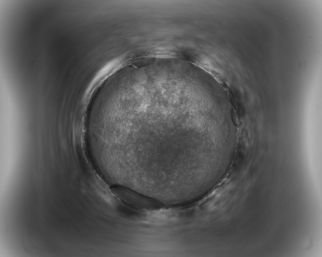 X0000087560293200704271231