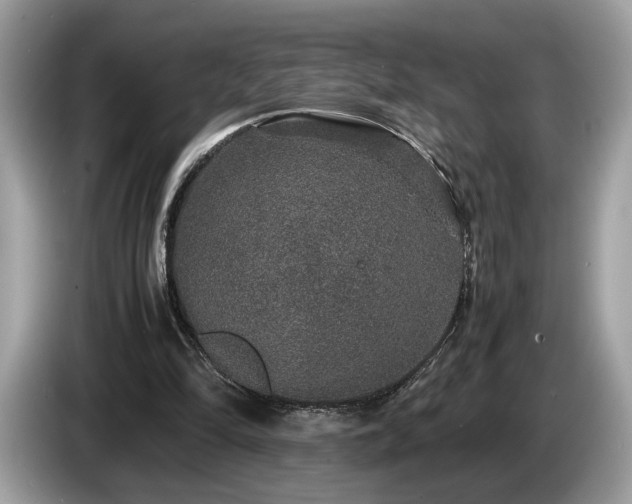 X0000087560294200704271231