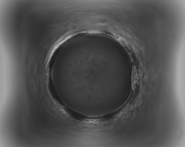 X0000087560295200704271231