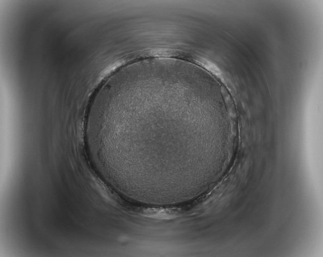 X0000087560297200704271231