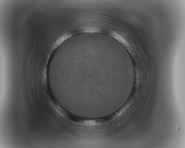 X0000087560298200704271231