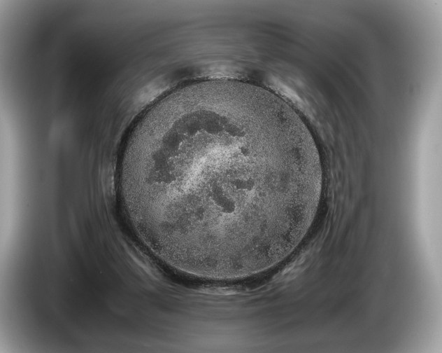 X0000087560299200704271231