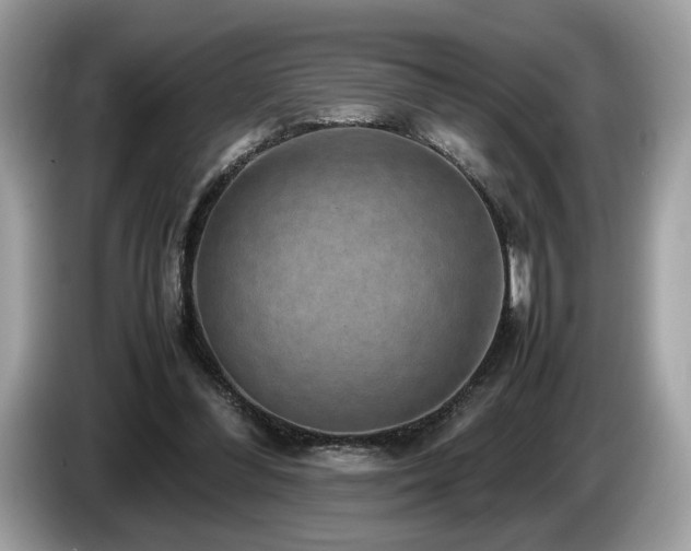X0000087560300200704271231
