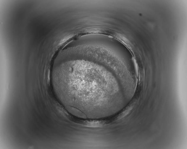 X0000087560301200704271231