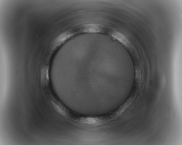 X0000087560302200704271231