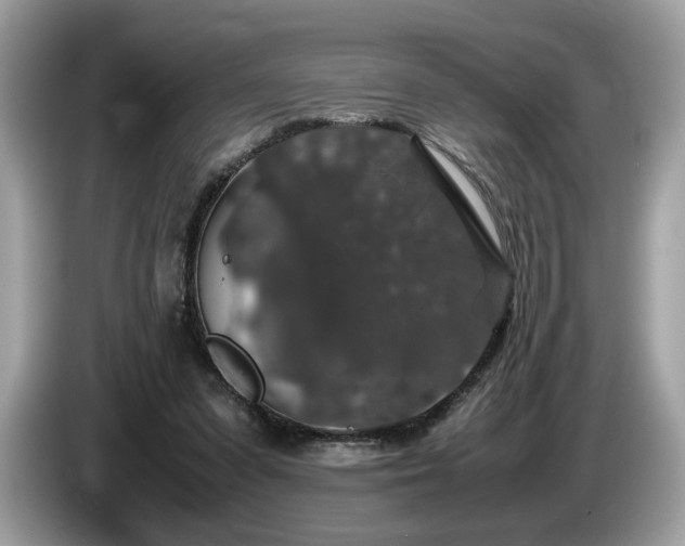 X0000087560303200704271231