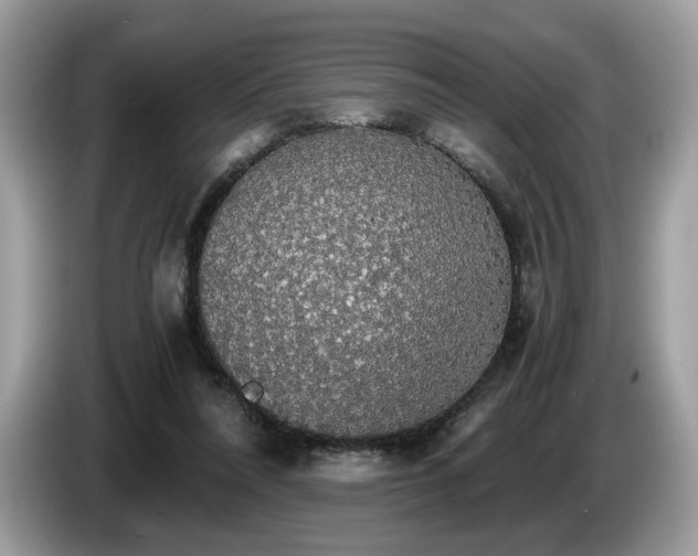 X0000087560304200704271231