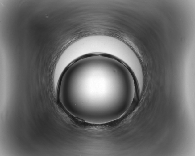 X0000087560305200704271231