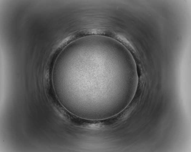 X0000087560306200704271231