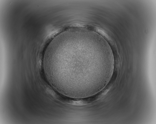 X0000087560309200704271231