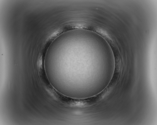 X0000087560310200704271231