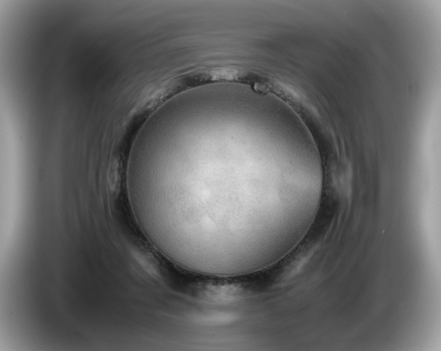 X0000087560311200704271231