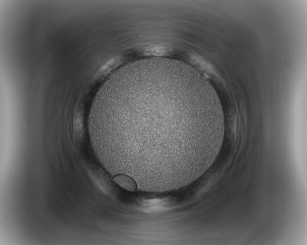 X0000087560312200704271231