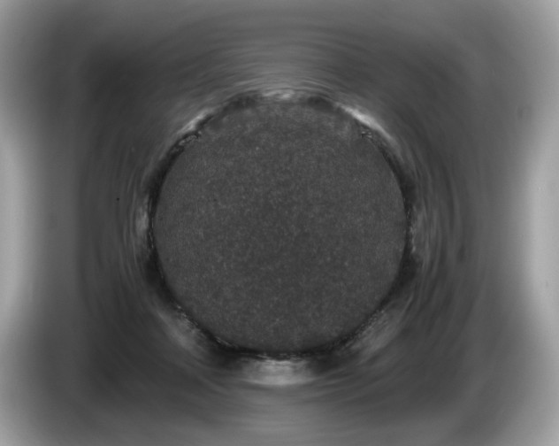 X0000087560314200704271231