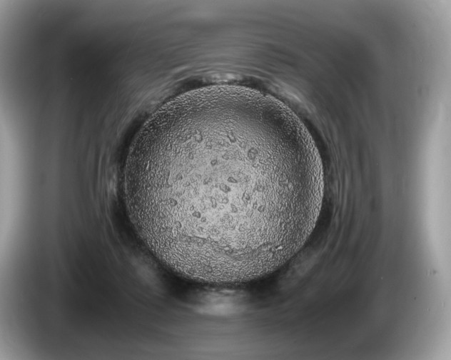 X0000087560315200704271231
