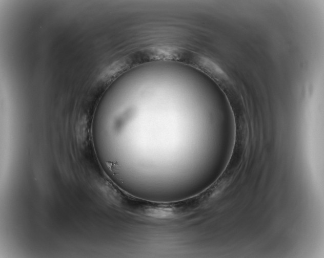 X0000087560318200704271231