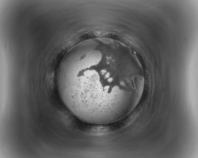 X0000087560319200704271231