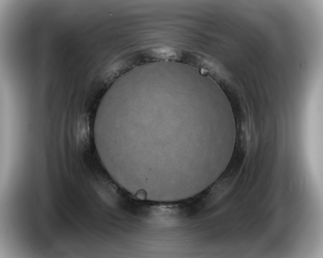 X0000087560320200704271231