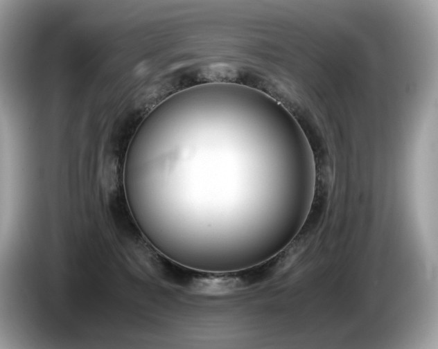 X0000087560323200704271231
