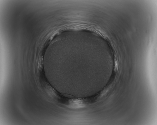 X0000087560325200704271230