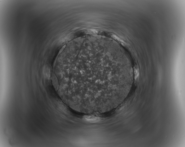 X0000087560331200704271230