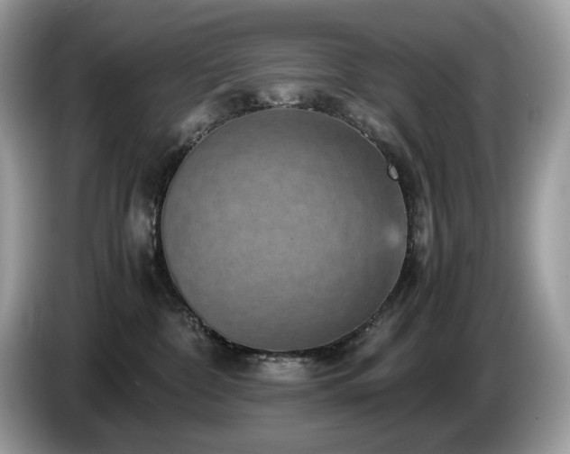 X0000087560332200704271230