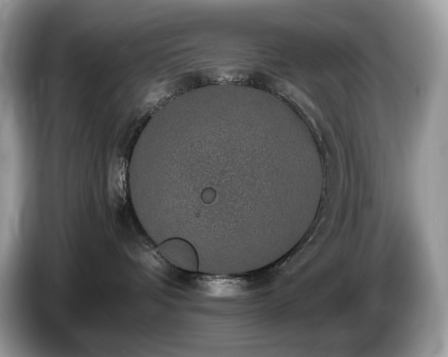 X0000087560336200704271230