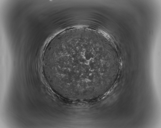 X0000087560337200704271230