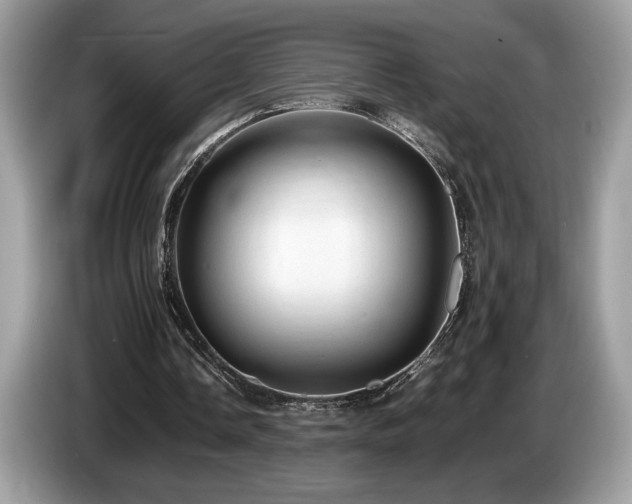 X0000087560338200704271230