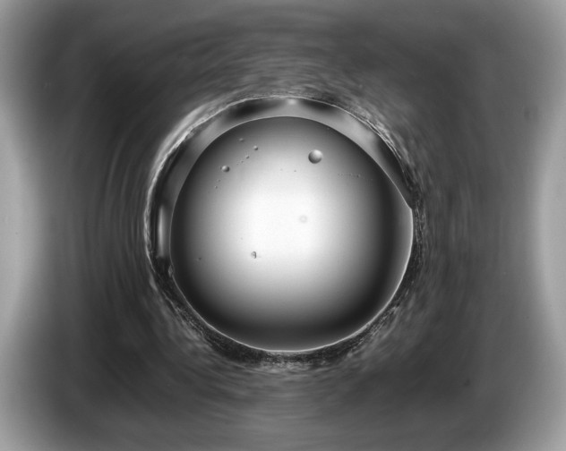 X0000087560340200704271230