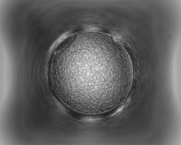 X0000087560341200704271230