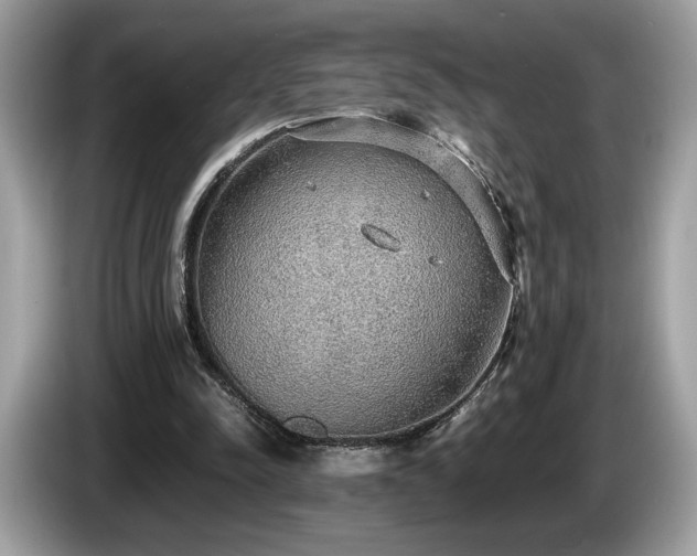 X0000087560342200704271230