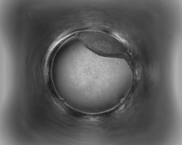 X0000087560343200704271230