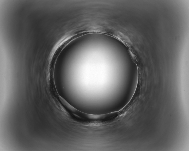 X0000087560344200704271230