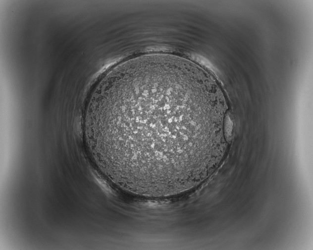 X0000087560345200704271230