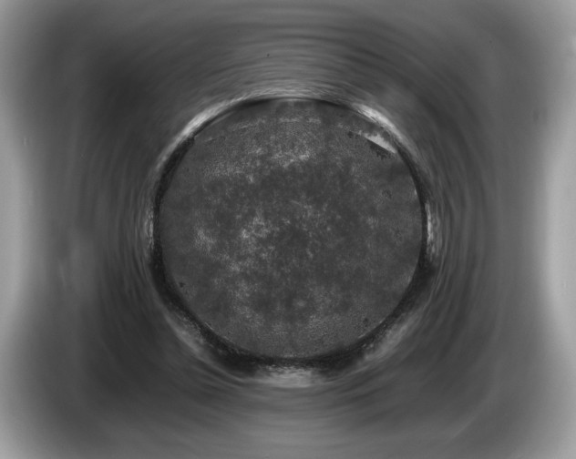 X0000087560348200704271230
