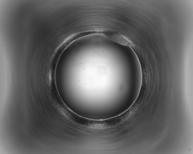 X0000087560350200704271230
