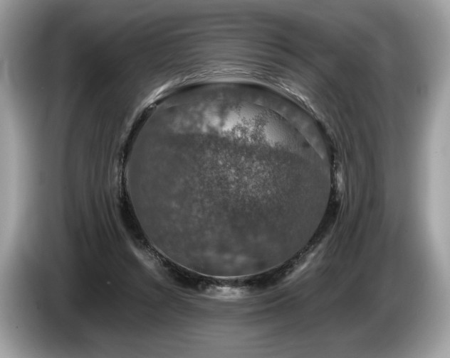 X0000087560352200704271230