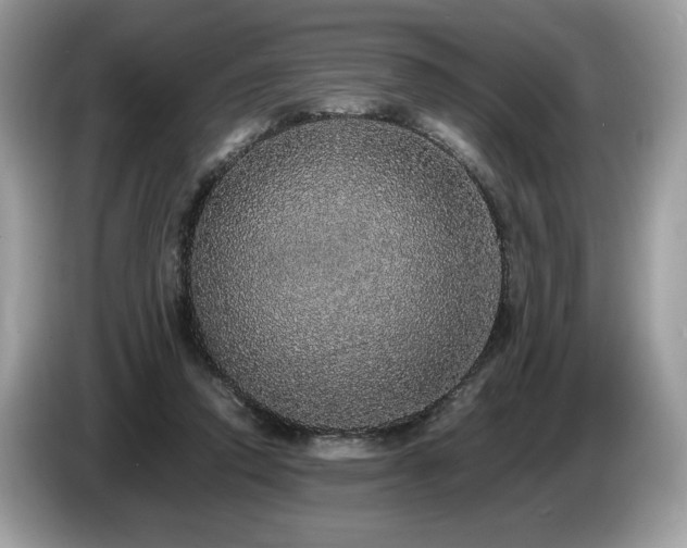 X0000087560354200704271230
