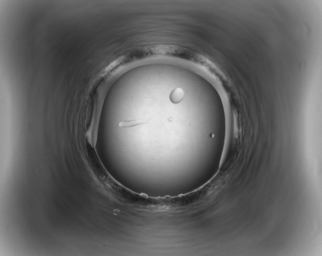 X0000087560356200704271230