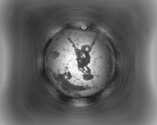 X0000087560359200704271230