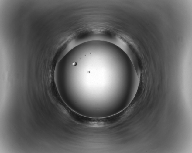 X0000087560362200704271230