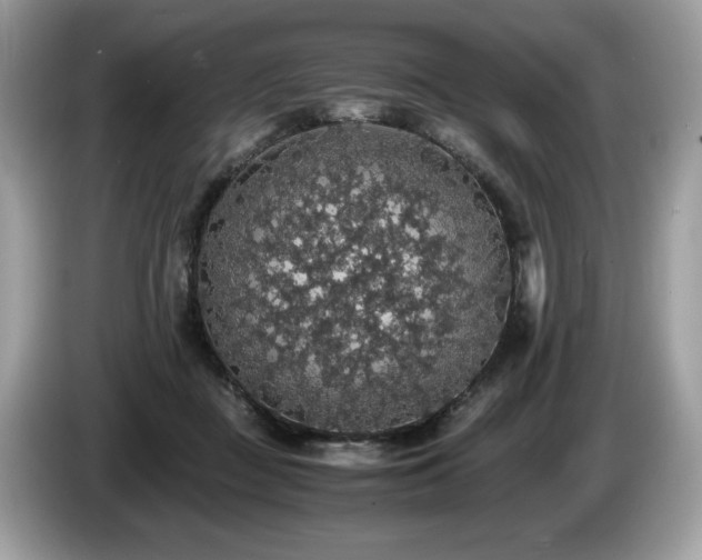 X0000087560363200704271230