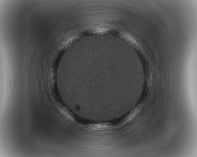 X0000087560366200704271230
