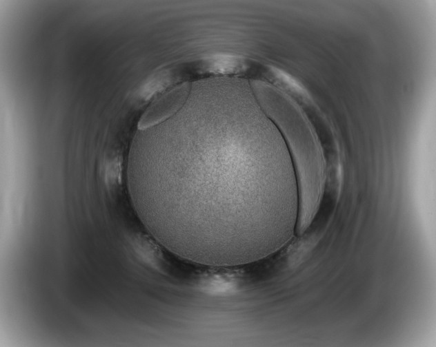 X0000087560368200704271230